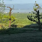 Vinkelaar 11 *