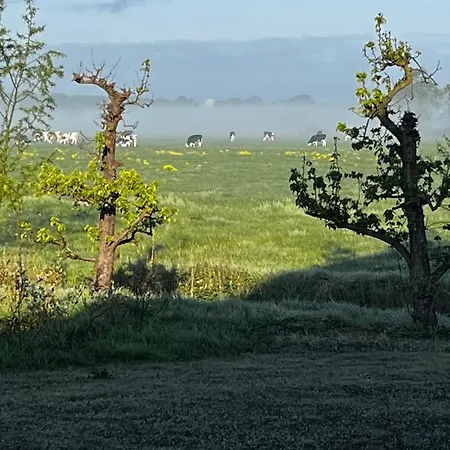 Vinkelaar 11 *