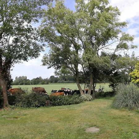 Vinkelaar 11 *