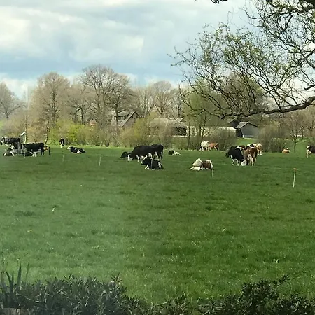 Vinkelaar 11 Semesterbostad