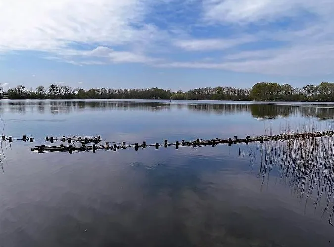 Vinkelaar 11 Holiday home Terschuur