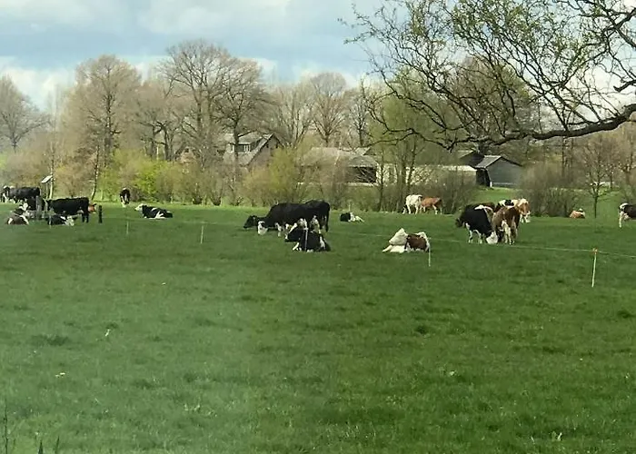 Vinkelaar 11 Сasa de vacaciones